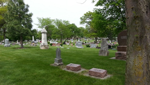 Pic3